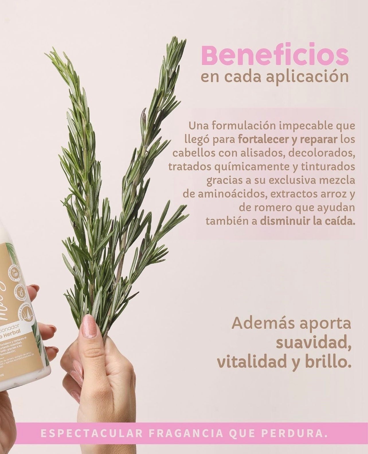 Kit Milagro Herbal (Shampoo + Acondicionador + Mascarilla) - Glamour Beauty & Shine